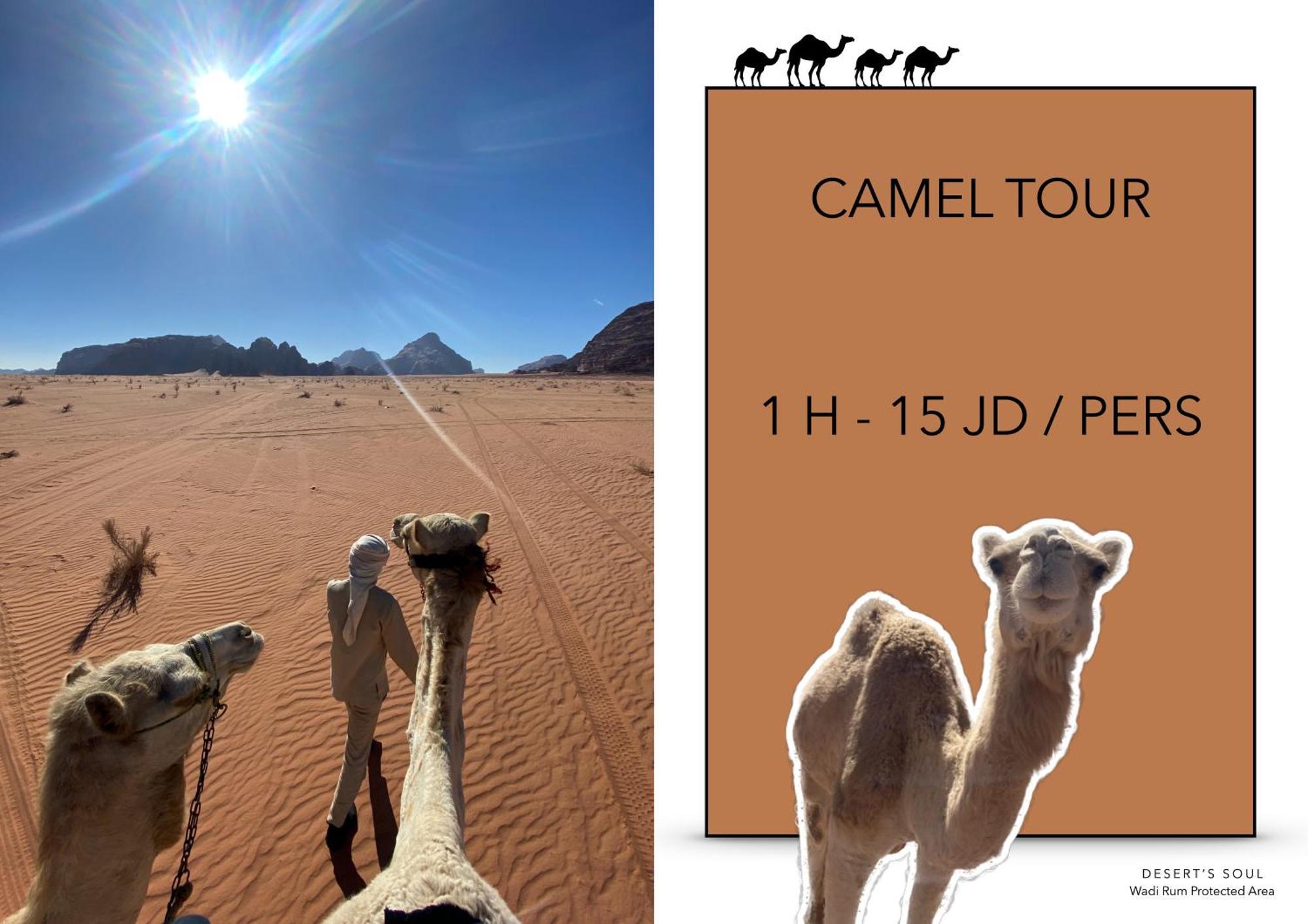 Desert'S Soul Wadi Rum Ad Disah Extérieur photo